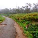 Viharin.com- Scenic view at Rajmala hills in Munnar