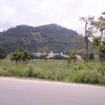 Viharin.com- Another scenery from road