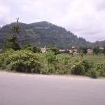 Viharin.com- View from road