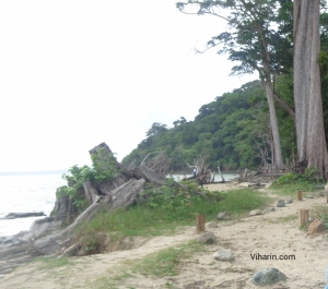 Viharin.com- Wrecked beach due to Tsunami effect