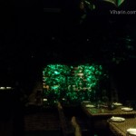 Viharin.com- Ambiance in mystic  Jungle dining room