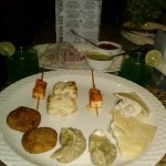 Viharin.com- Momos, stuffed pita bread, paneer tikka, cutlets
