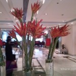 Viharin.com- Lobby