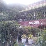 Viharin.com- View of Diggin Cafe from parking