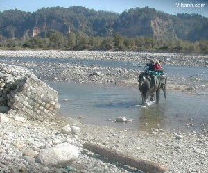 Elephant Safari at Jim corbett