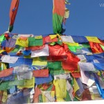 Viharin.com- Holy flags