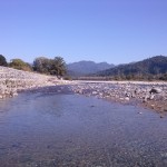 Viharin.com- River by the resort