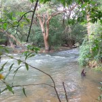 Viharin.com- Charisma of river Kaveri with greenery