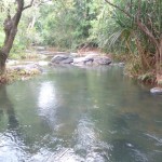 Viharin.com- River Kaveri trek