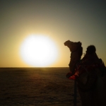 Viharin.com- Camel and sun