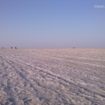 Viharin.com- Magnificent White Rann