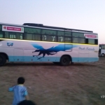 Viharin.com- Rann Utsav buses at White Rann
