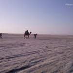 Viharin.com- Serene and mighty White Rann