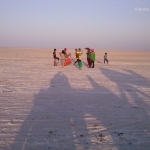 Viharin.com- people dancing at White Rann