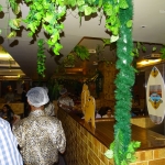 Viharin.com-Green jungle Ambience at Africa Magica festival by Barbeque Nation