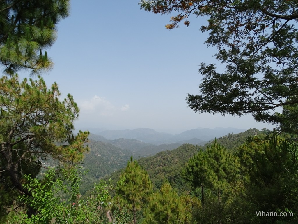 Viharin.com- Scenic view at Nahan road