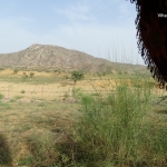 Viharin.com- View on the way to Brahma Temple from Camel Cart