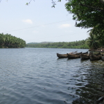 The backwaters of Payyoli, Kerala a wellness retreat