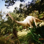 Viharin.com- Dinosaur & Fossil Park