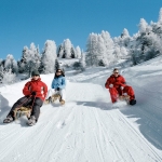 Davos TOBOGGANING