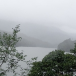 Viharin.com-Another-view-of-lake-in-Thekkady1