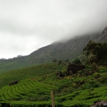 viharin.com-Clouds-covering-tea-plantations-in-Munnar