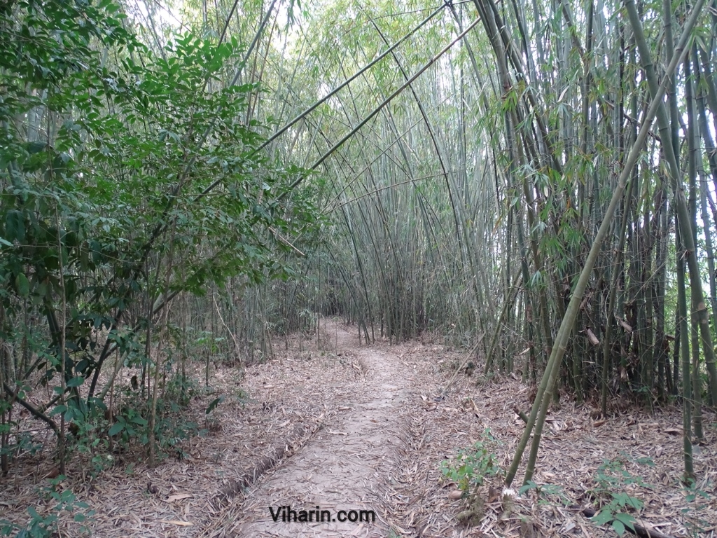 Viharin.com- Nature trail