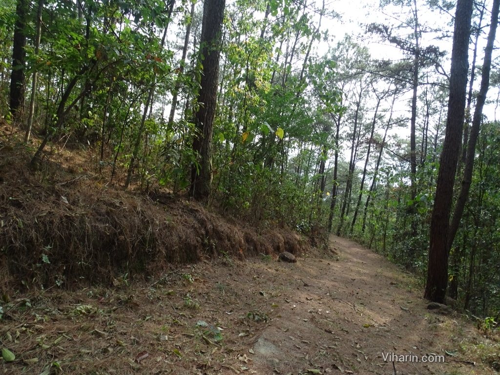 Viharin.com- Nature's trail at Ri Kynjai