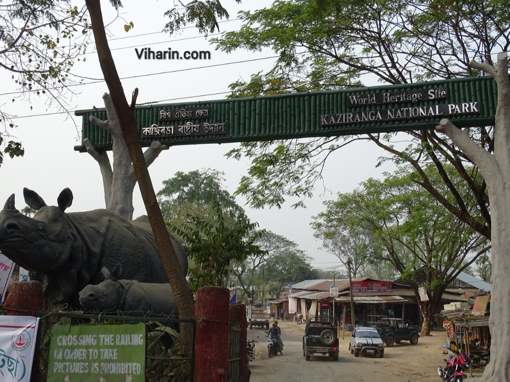 Viharin.com- Kaziranga National Park