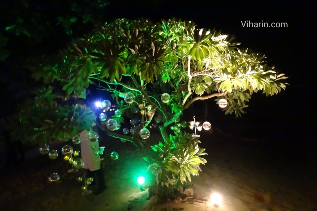 Viharin.com- Magic Tree