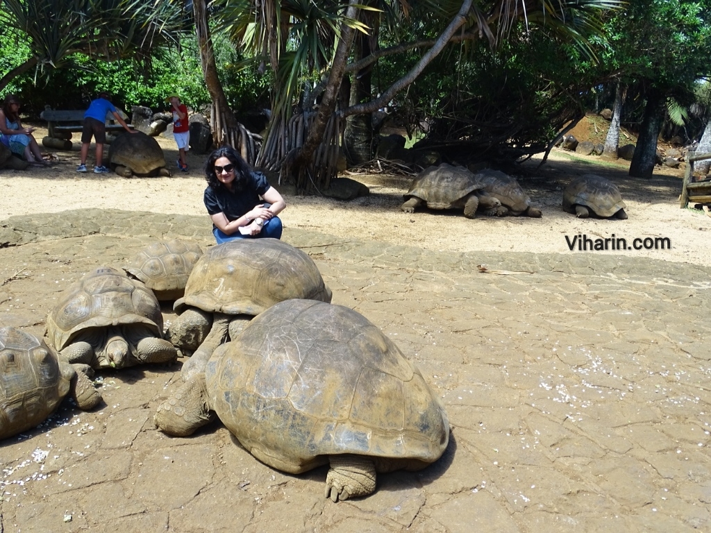 Viharin.com- Myself posing with tortoise at La Vanille Nature Park