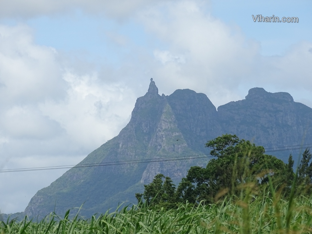 Viharin.com- Peter Both Mountain in Mauritius