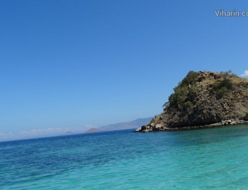 Snorkeling @ Kelor Island perfect for beginners