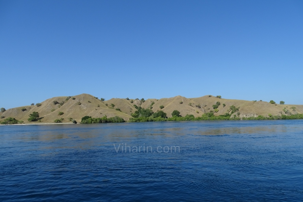 Viharin.com- Island with greenery