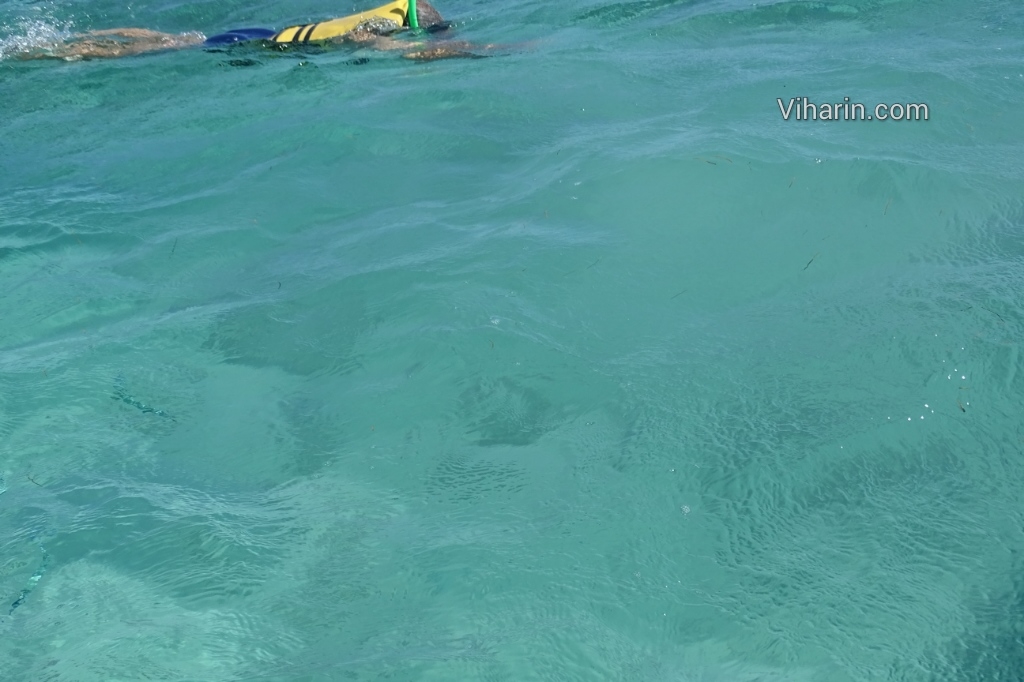 Viharin.com- Snorkeling