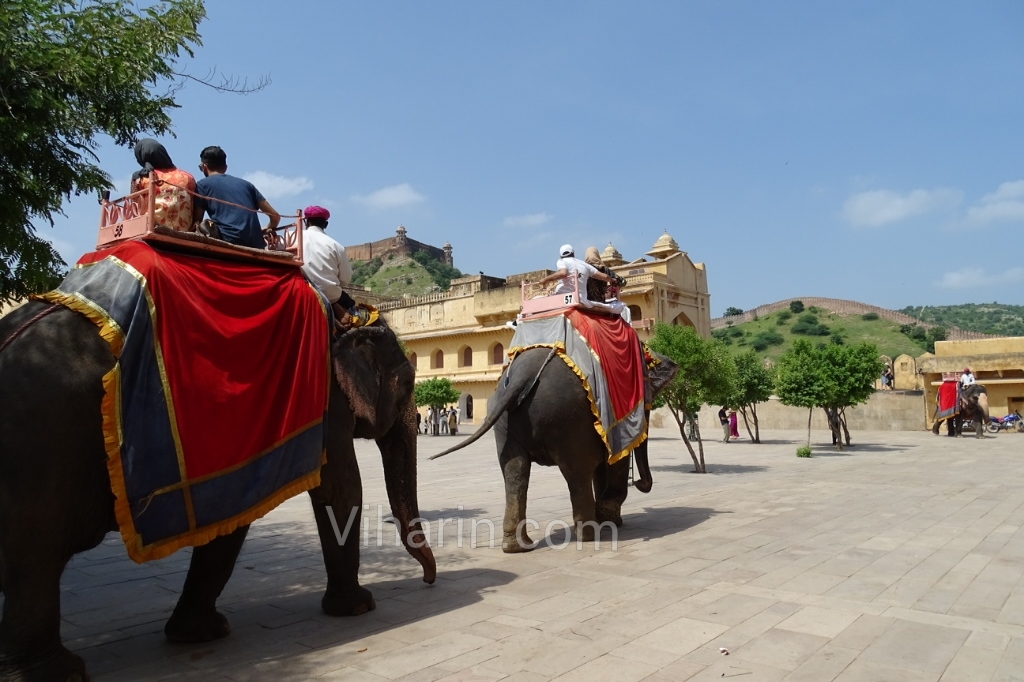 viharin-com-elephant-ride