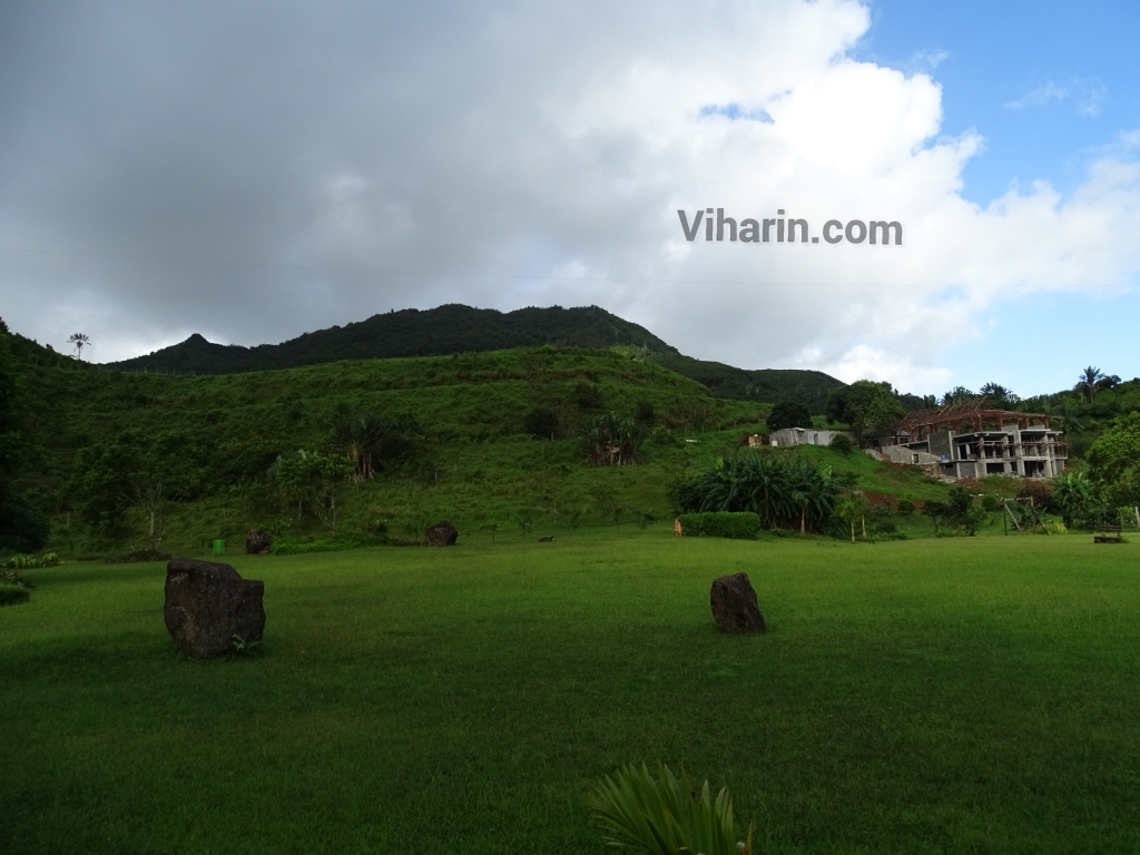 Viharin.com- Lush green area