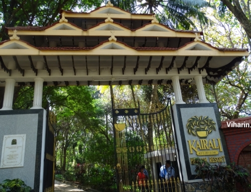Heal yourself in nature @ Kairali The Healing Village