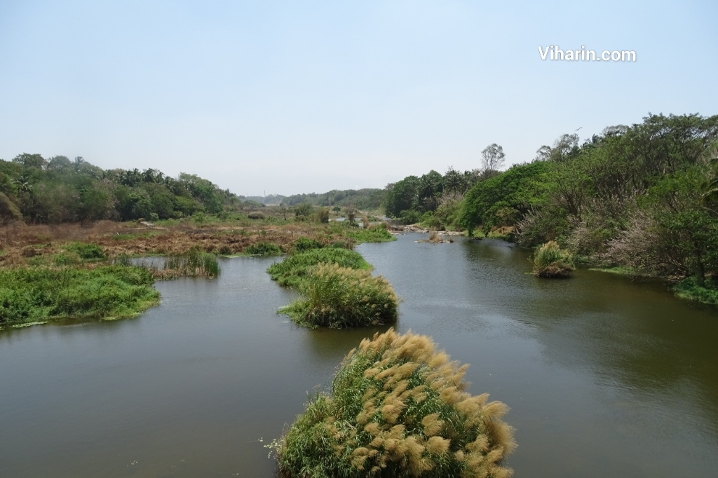 River Gayathripuzha