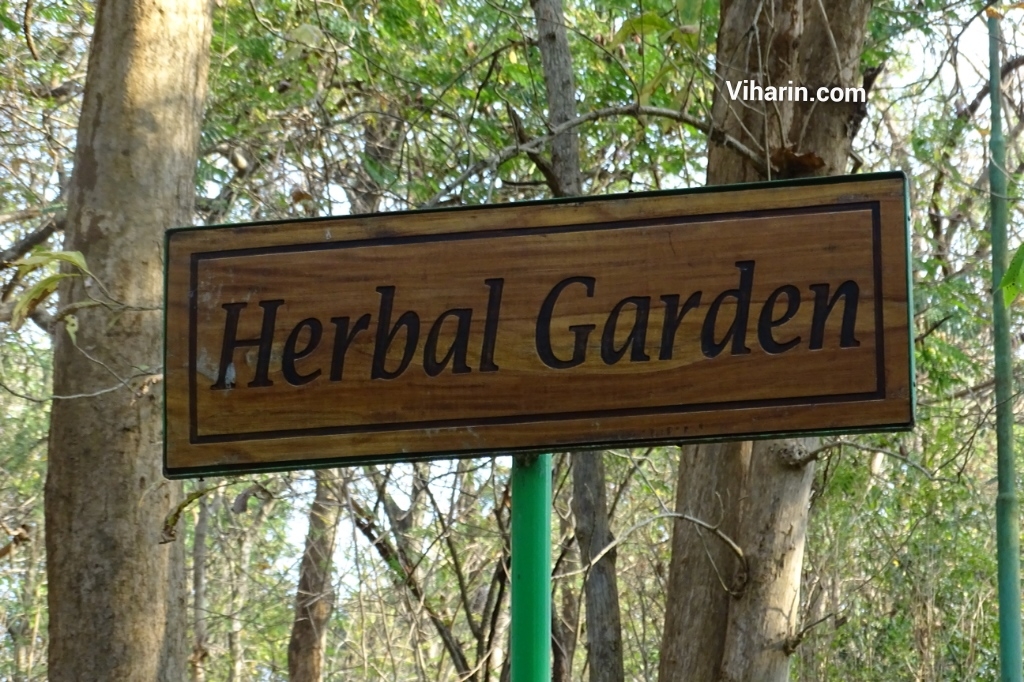 Herbal Garden at Kairali, the Healing Village