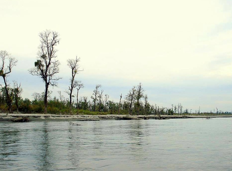 Dibru Saikhowa National Park