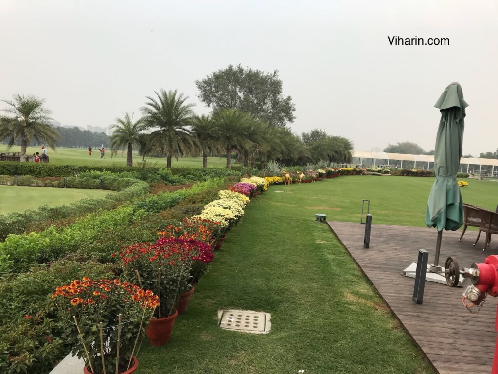 Lawn and Golf Course outside restaurant 