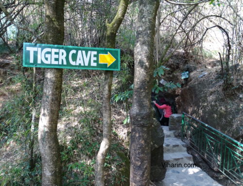 Our visit to Eco Cave Garden, Nainital