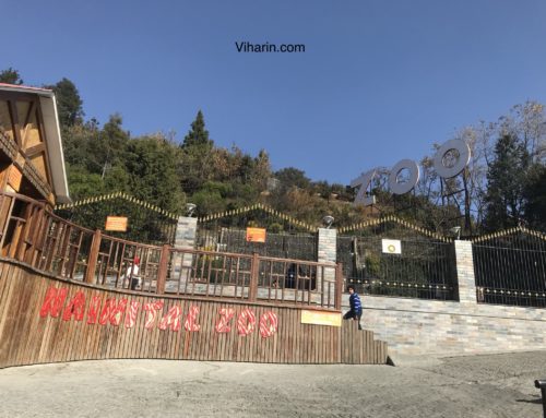 Nainital Zoo, a perfect sightseeing options for a family visit