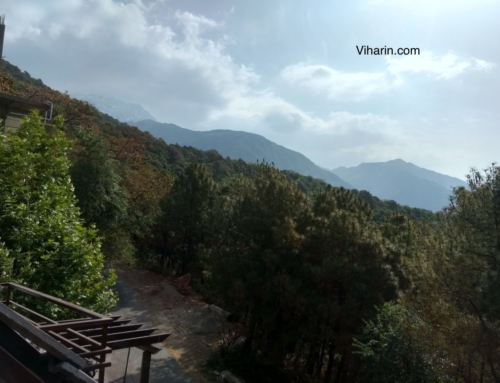 Review- Karma Resort Dharamshala, article by Neelam Kapur