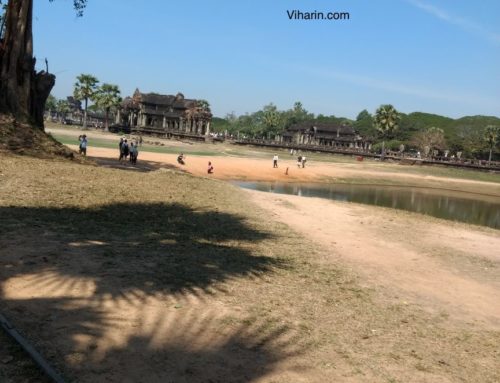 Why Ta Prohm temple is so popular in Combodia