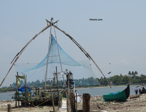 Things to do in Kochi