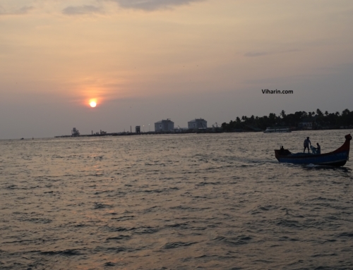 Things to see during Boat Ride in Kochi at Vembanad Lake