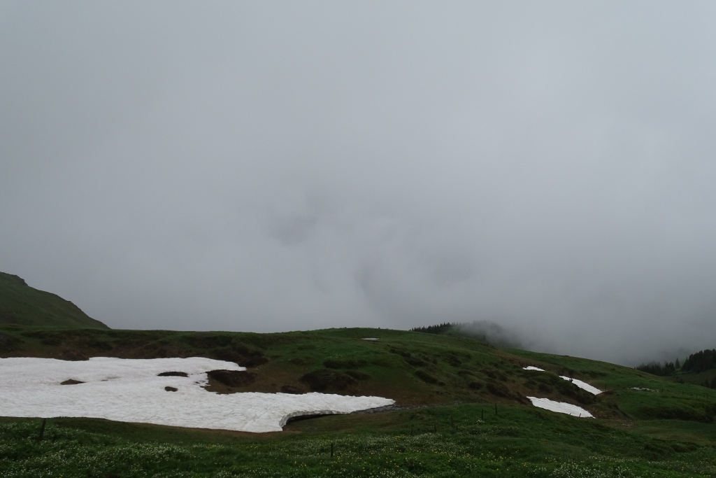 Snow fields