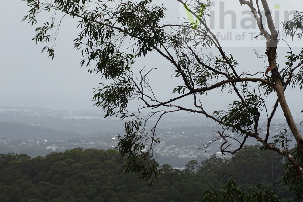 View uphill on the way to Tambourine National Park